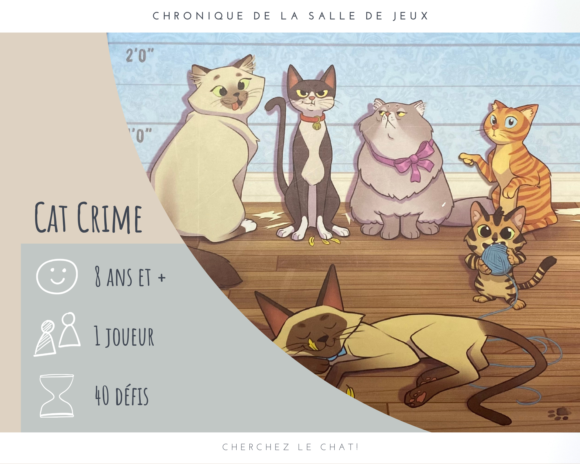 Cat Crimes - Jeu de logique